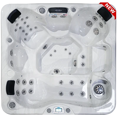 Avalon-X EC-849LX hot tubs for sale in Antioch
